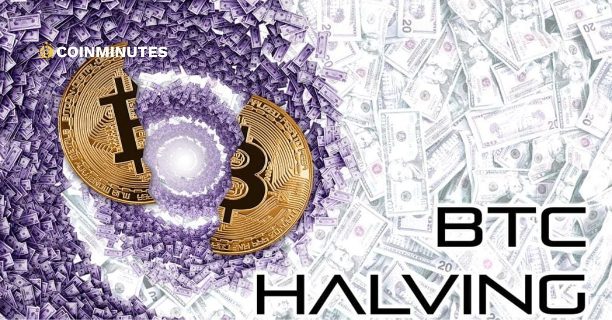bitcoin halving thumbnail